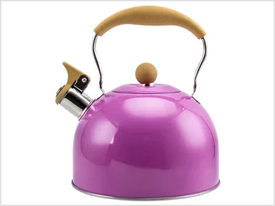 Stainless Steel Kettles